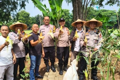 Go Teropong Rakyat