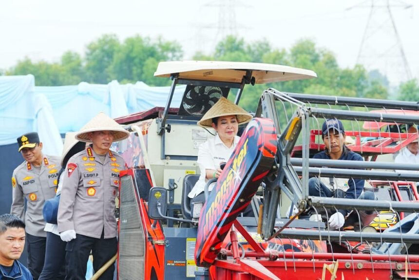 Go Teropong Rakyat