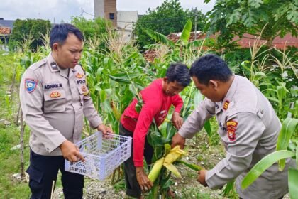 Go Teropong Rakyat