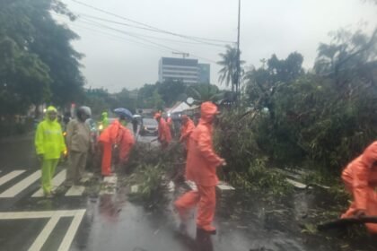 Go Teropong Rakyat