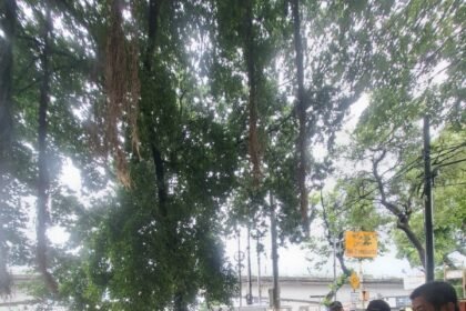 Go Teropong Rakyat