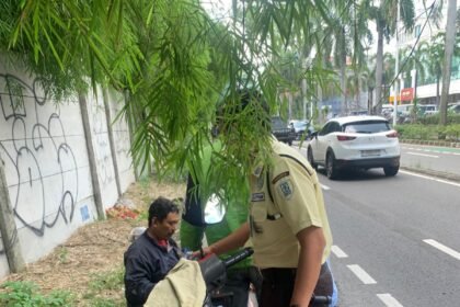Go Teropong Rakyat