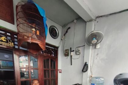 Go Teropong Rakyat