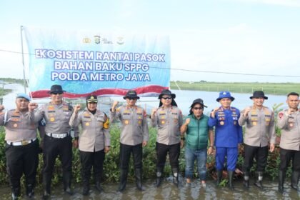 Go Teropong Rakyat