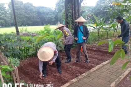 Go Teropong Rakyat
