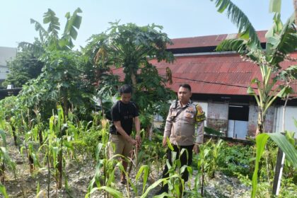Go Teropong Rakyat